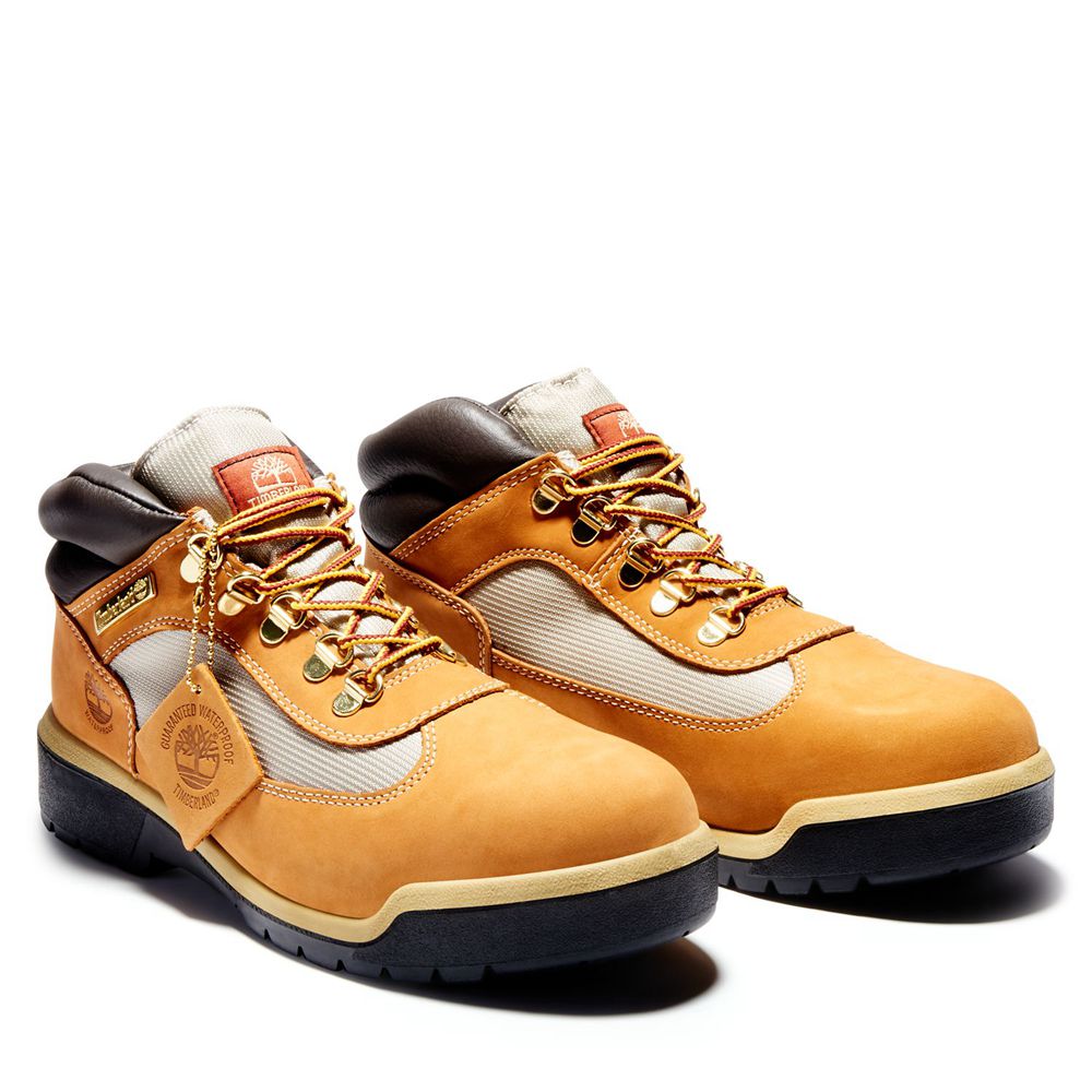 Tenisi Timberland Barbati Maro/Negrii - Waterproof Field Boots - Romania - DJVECM108